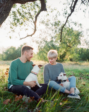 Stylish couple sitting with dogs near a big tree