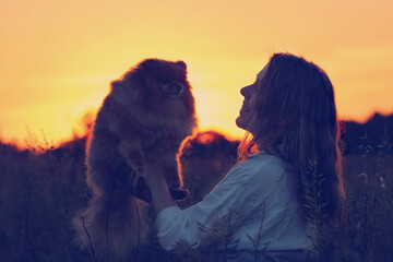 Naklejka na ściany i meble A happy smiling girl and her cute dog against the background of a Golden sunset in a field on a summer evening.Close up.Soft selective focus.The concept of summer vacation.Vintage processing