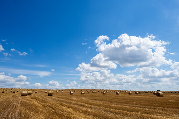 Hay bales on the field after harvest. Beautiful countryside landscape, rural nature in the farm land. Autumn, Harvesting concept.