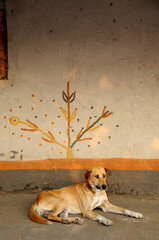 A dog lying on a veranda next to a mural looking like a tree, somewhere in Africa