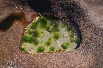 Biotop in Granitstein