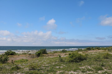 Holmhällars raukfält at Gotland island, Sweden