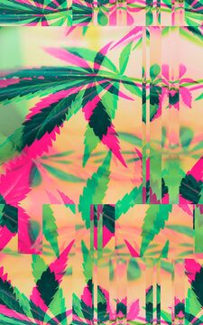 Colorful, vibrant and funky, abstract glitch cannabis/marijuana background