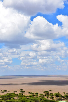 Aerial view of the plains and acacias on a cloudy day