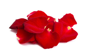 red rose petals isolated