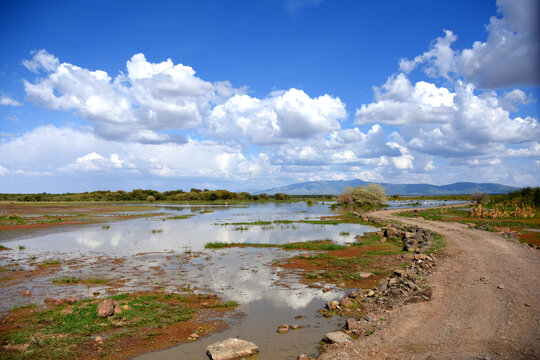 Colorful landscape of a road at the edge of the lake manyara