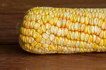 Corn cob on dark wooden rustic background. Detail texture. Macro.