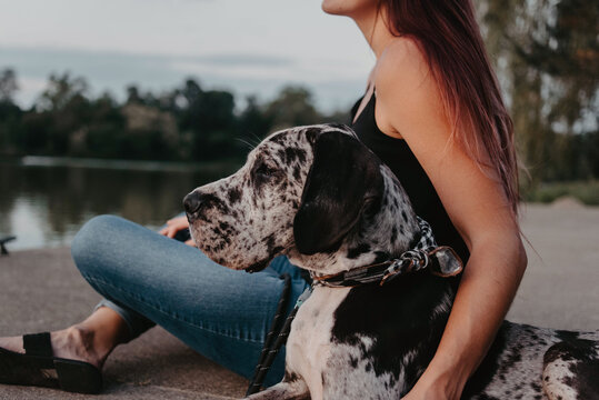 A woman in her twenties training and spending the day with her great dane puppy