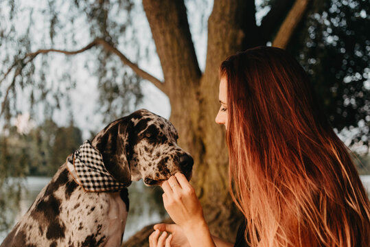 A woman in her twenties training and spending the day with her great dane puppy