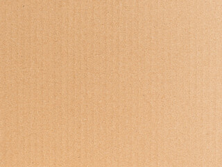Fototapeta na wymiar Brown cardboard texture clean package carton with vertical relief