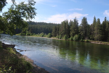 Obraz premium Slow moving, wide river surrounded by trees