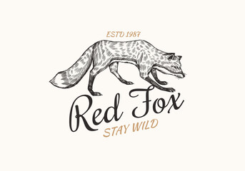 Red fox badge. Forest ginger wild animal label or logo. Vector Engraved hand drawn Vintage old sketch for stamp, t-shirt or typography.