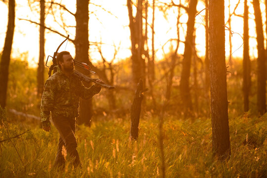 Adult man hunting with a recurved crossbow in the forest on an autumn day.