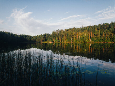 Warm Evening at Forest Lake