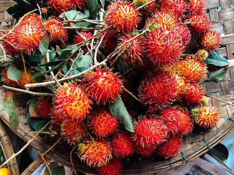 Rambutans in a Basket