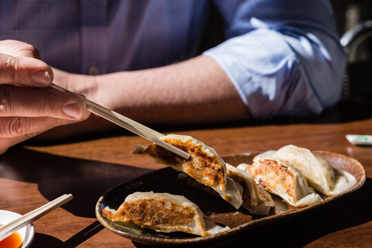 Japanese gyoza