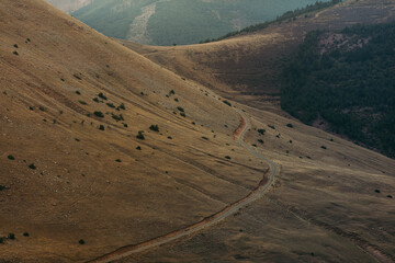 Picture of high altitude forest track with a storm sky, Soria, Spain.