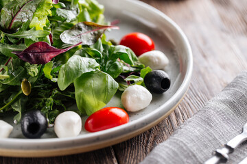 Salad with greens mozzarella olives and tomatoes