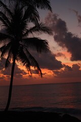 Fototapeta na wymiar Precious sunset violet, orange and pink with tropical palm tree, above the sea. bay of Tulum, cancun, playa del carmen, riviera maya, Yucatan, Quintana roo, Mexico.