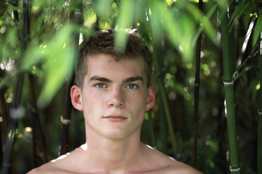 Young man and bamboo portrait
