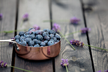 Blueberries in metal pot and lavender flowers around on a wooden table in a garden