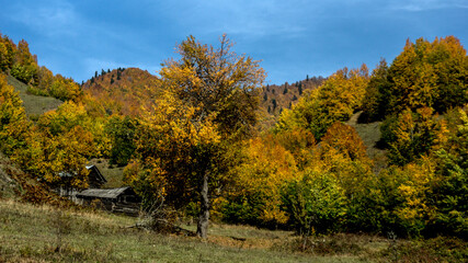 ARTVıN, SAVSAT, TURKEY, Traditional Savsat district plateau houses