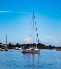 sailboats in the bay