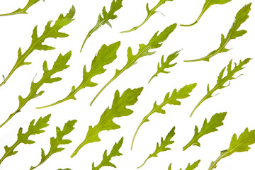 Green vegetable natural arugula pattern on a white background.