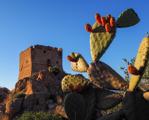 Tower of Portu - Genoese tower in Porto, Corsica - Torra di Portu