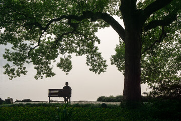 A man sits on a bench on the grass under a tree