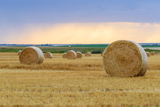 straw bales
