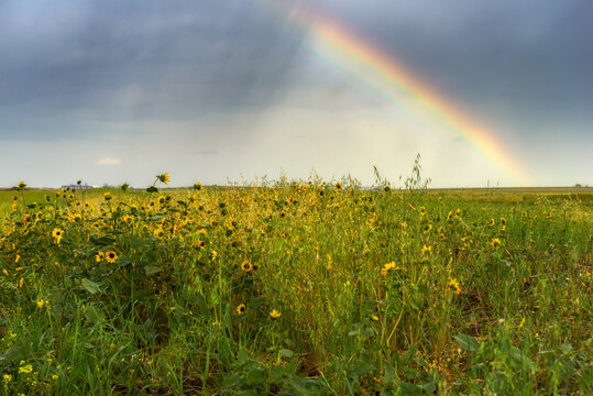 double rainbow