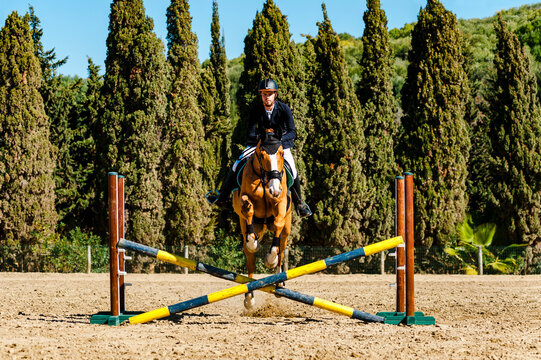 Front view of jockey jumping a hurdle with brown purebreed