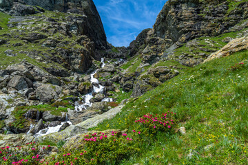 Escursionismo nelle valli del Monviso tra ruscelli, cascate e pascoli fioriti