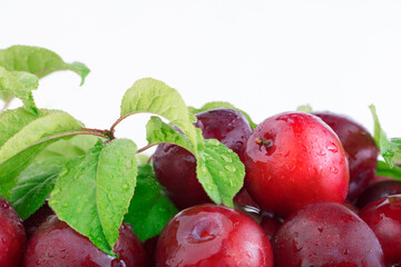 Fresh plums with leaves and water drops, macro photo. Texture background of fresh red plums. Copy space.