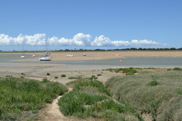 Paysage marin