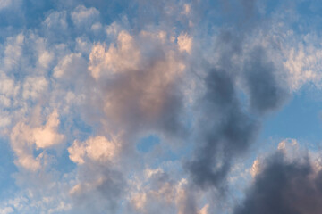 Fototapeta premium Cloudscape: cloudy sunset sky. Grey and white clouds over a bright blue sky