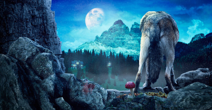 Ein Wolf von hinten blickt in Richtung Bergmassiv der Dolomiten im Mondlicht 