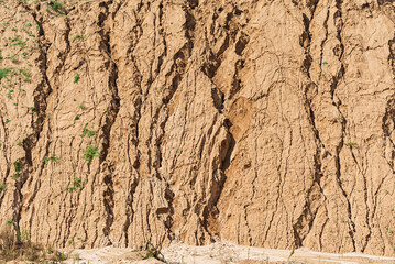Detail Of Dry Ground On The Desert - Texture / Pattern