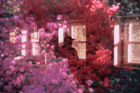 Man looking out window of abandoned home with flowers