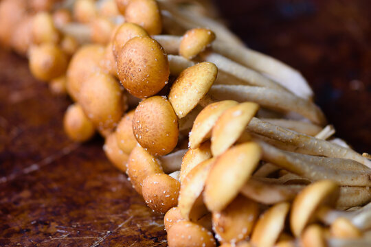 Cinnamon Cap Mushrooms