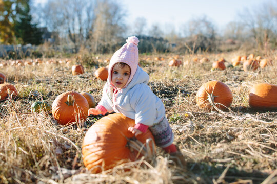 Little girl in a pumpkin farm
