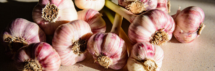 Medicinal and aromatic properties of fresh garlic. Heads of garlic in the kitchen.