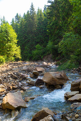 Fast forest mountain river. Carpathians. Ukraine.