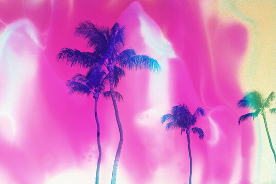 Bright pink and yellow palm trees on film