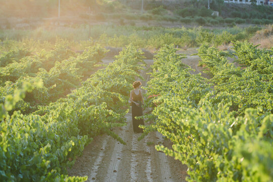 Brunette standing among grapevine rows