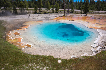 Silex Spring, Fountain Paint Pot Area, Yellowstone National Park, Wyoming, USA