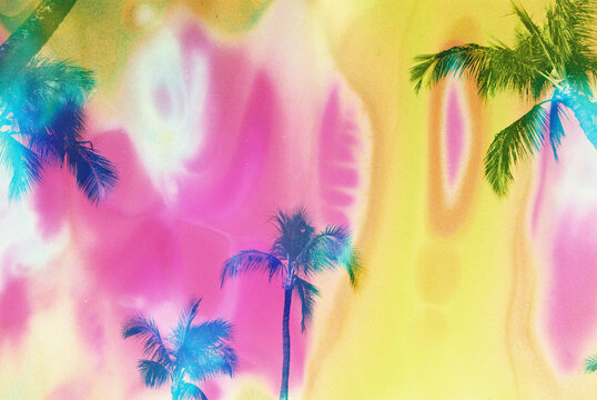 Naklejki Bright pink and yellow palm trees on film