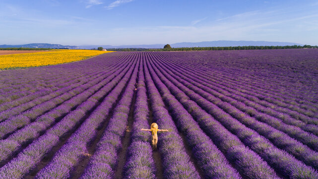 Woman in lavender field