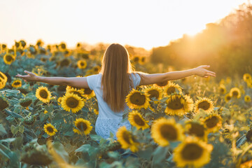 Young beautiful woman having fun in a sunflower field on a beautiful summer day. View from behind. - obrazy, fototapety, plakaty